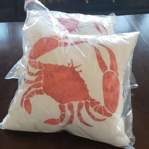 NWB Indoor/Outdoor pillows